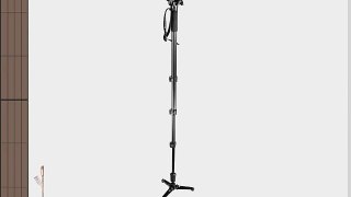 Manfrotto 560B Fluid Video Monopod with 234RC Head (Black)