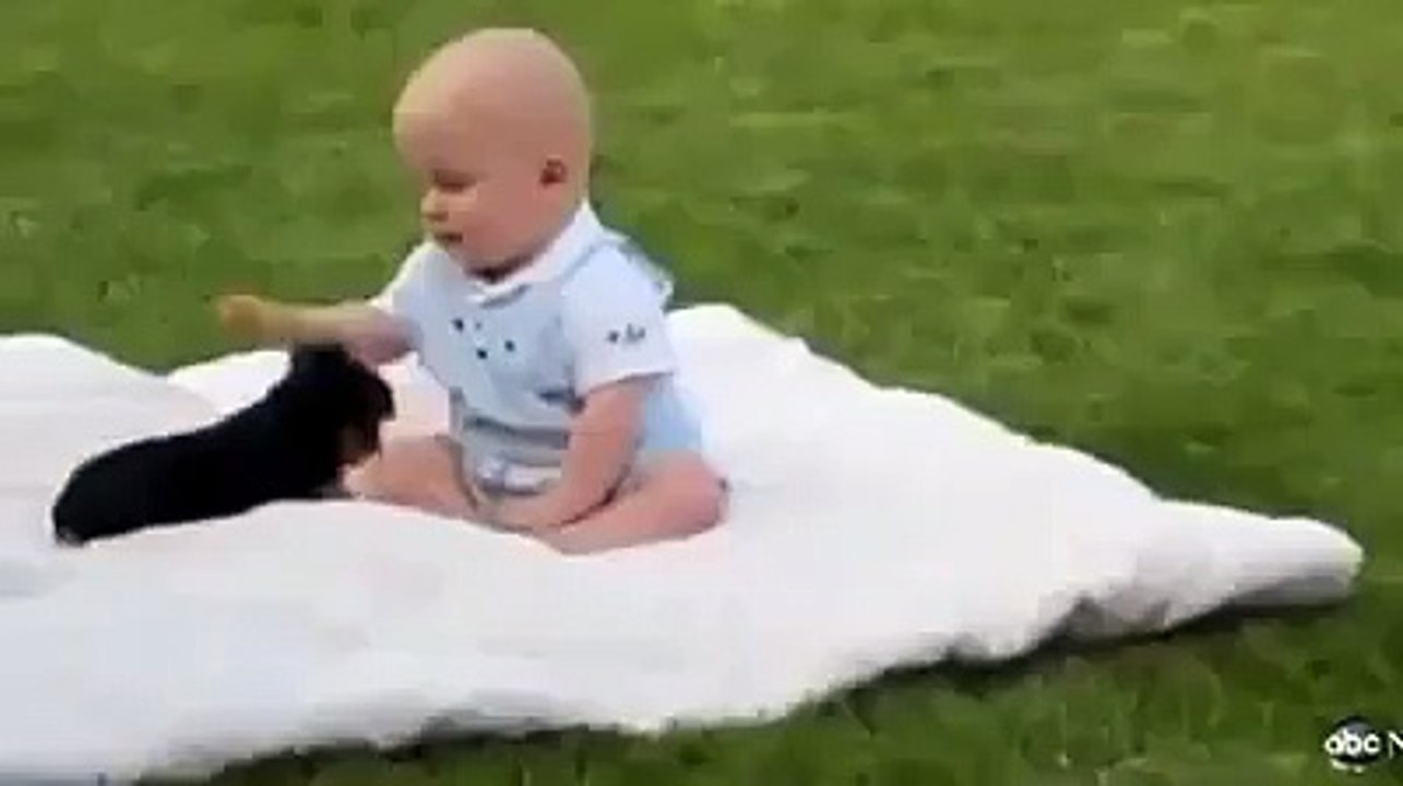 Baby With Dog