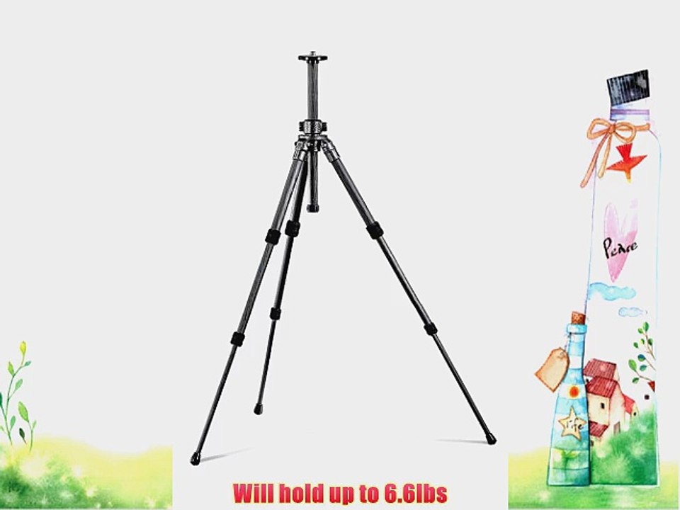 Gitzo GT-531 Series 00 Carbon 6x 3 Section G-Lock Tripod - Replaces GT350 (Black)