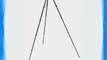 Gitzo Series 4 Systematic 5 Section Giant Tripod GT4552GTS