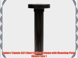 Induro Tripods ELC1 Short Carbon Column with Mounting Plate (Black) Size 1