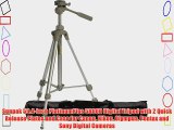 Sunpak 59.4-Inch PlatinumPlus 5800D Digital Tripod with 2 Quick Release Plates and Case for