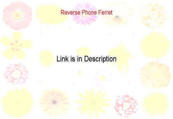 Reverse Phone Ferret Review [Video Review]