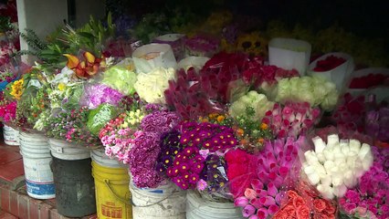 Por que os colombianos são felizes?