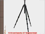 Oben CT-2461 4-Section Carbon Fiber Tripod Legs