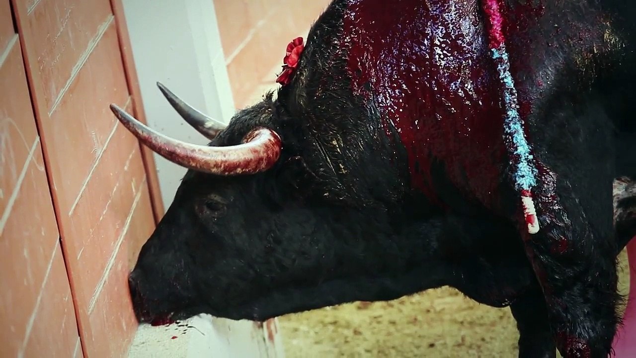 El arte de matar.- Animaladas II.- La Ruina [Prod. José Tapia] -