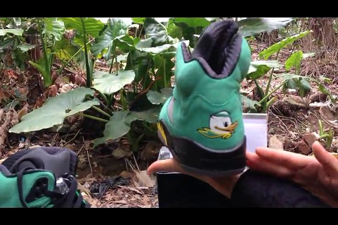 Authentic Air Jordan 5 Oregon Duck shoes for sale  kicksgrid1.ru