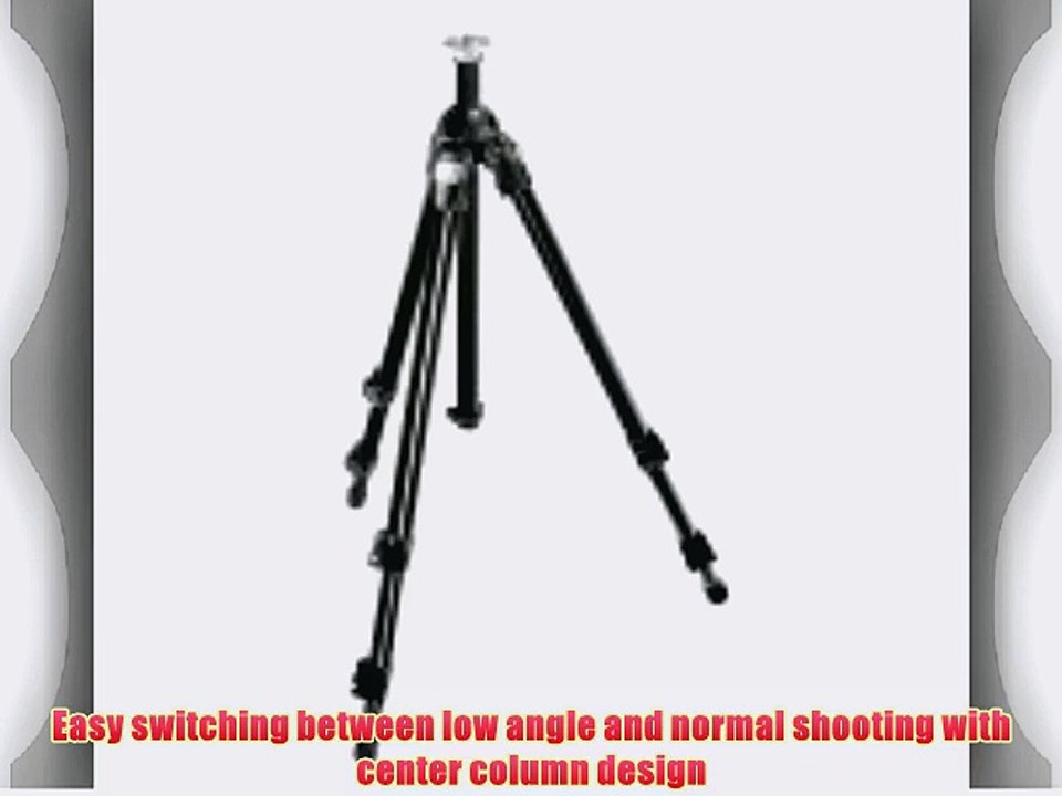 Manfrotto 3021BPRO Professional Tripod without Head (Black)