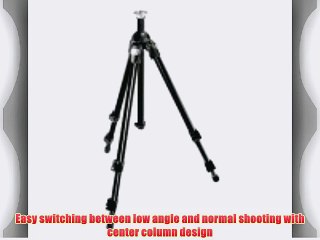 Manfrotto 3021BPRO Professional Tripod without Head (Black)