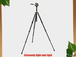 Gitzo Safari Collection Series 2 Kit with 2-Way Fluid Head with Quick Release (GK2520FT)