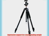 VANGUARD Abeo 283AB Tripods