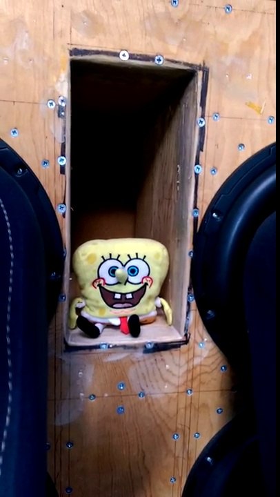 Bob l'éponge fait la fête dans un caisson de basses