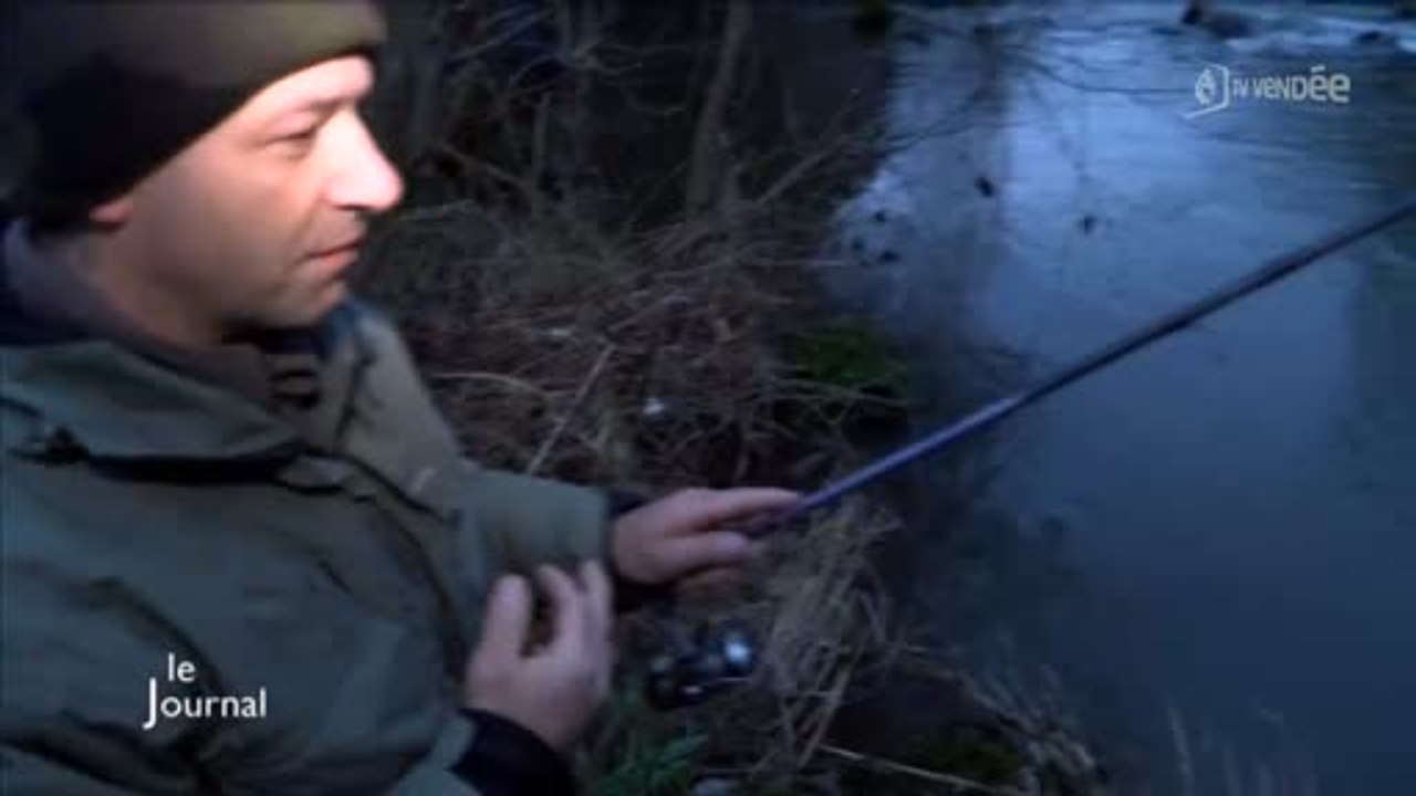 Vendée : Ouverture officielle de la pêche à la truite