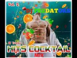 Hits Cocktail Vol. 2 - DJ PREDATORS