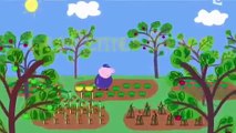 Peppa Pig Les petites bêtes (HD) // Dessin animés complets pour enfants en Français