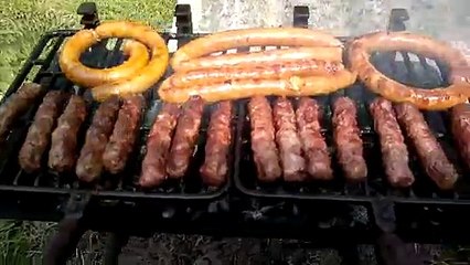 Zmija na Vojvođanski način - Snake in the Vojvodina way - ide zmija