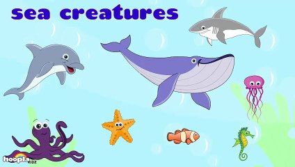 Learn About Sea Creatures - Preschool Activity