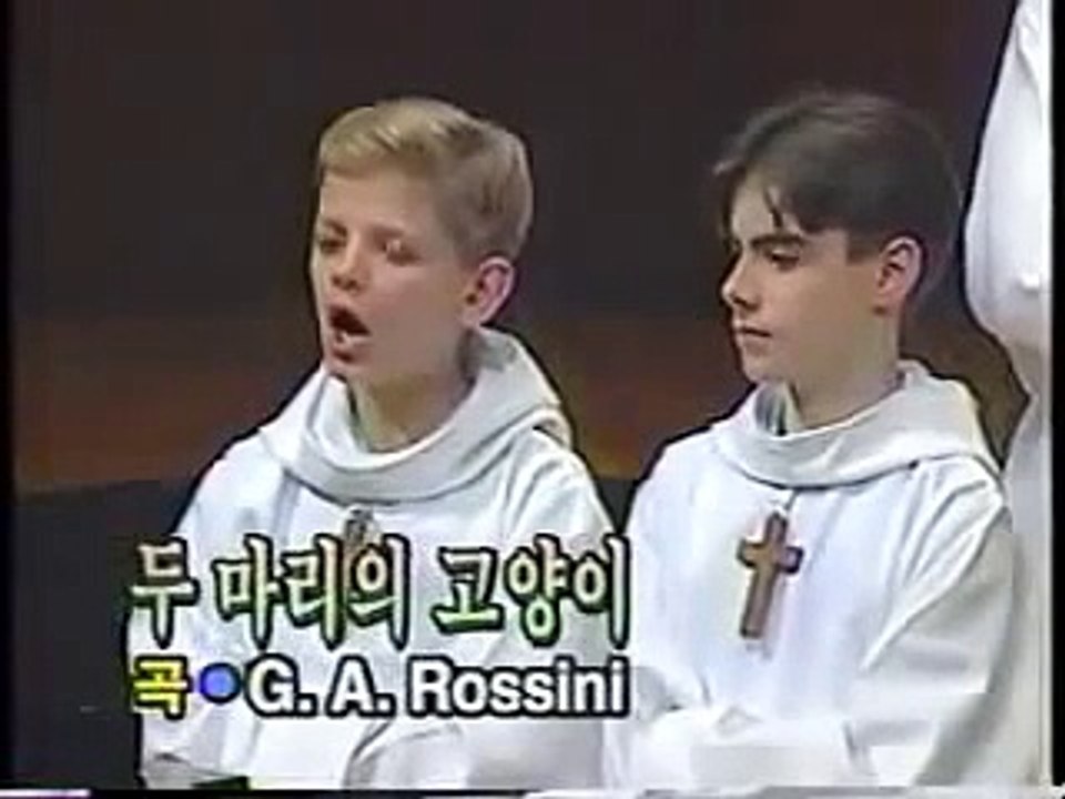 Chanson de chat... Miaou