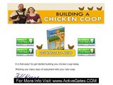 Building A Chicken Coop - How To Raise Chicken For Eggs