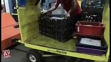 Dünyanın en büyük fabrika üretimi tabanca..