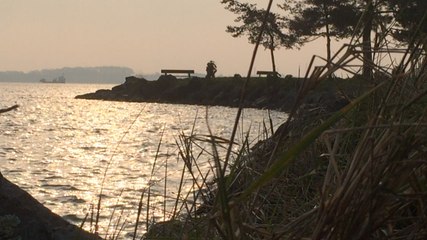 La marée du siècle à Conleau