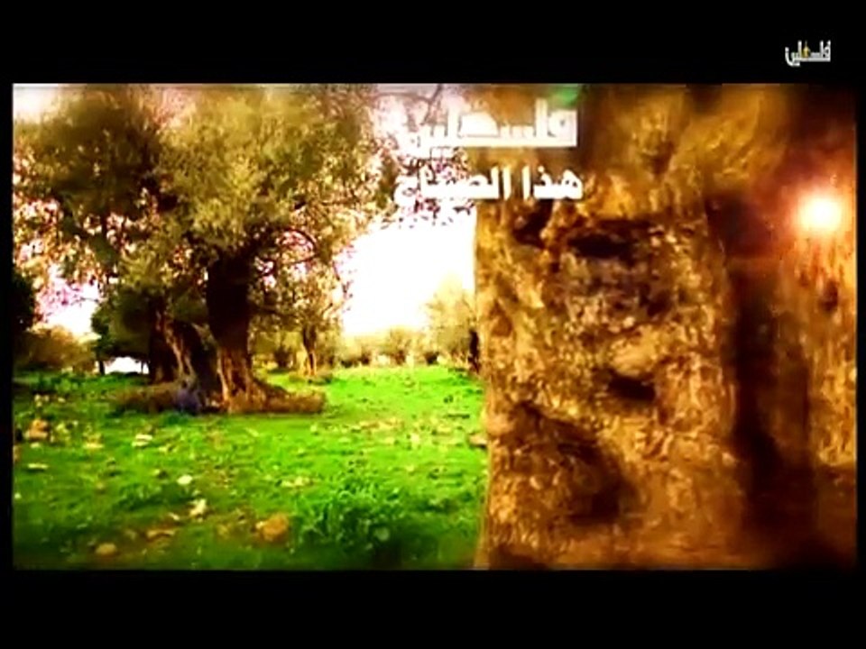 فلسطين هذا الصباح السبت -21-2-2015  ج1