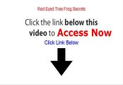 Red Eyed Tree Frog Secrets Reviews (See my Review)