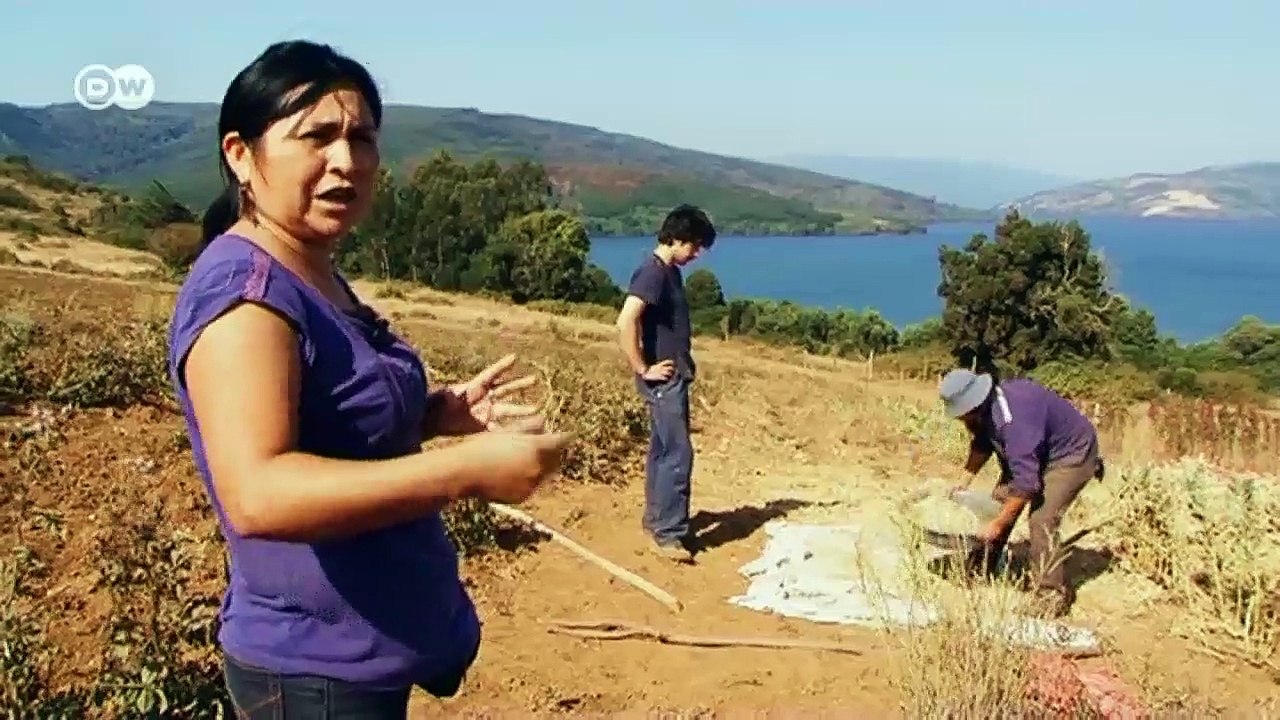 Die mapuche in chile - kampf um land und rechte | journal