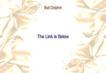 Bull Dolphin Reviewed [Watch this 2015]