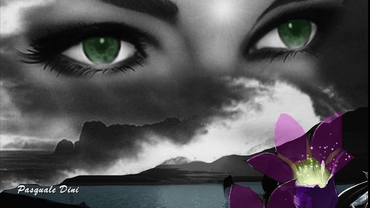 I Teppisti dei sogni -Piccolo fiore dove vai -