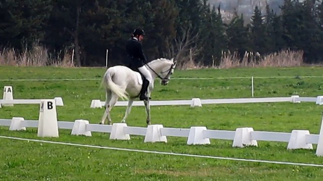 Oxand CCE pro3 - Pouget 20-03-15 - Dressage