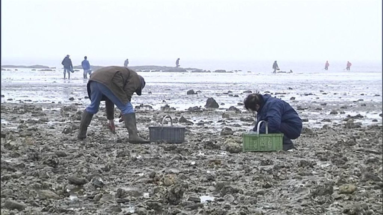 Marée du siècle à la Bernerie en Retz: des curieux à l’assaut des côtes