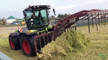 Mais schieben  Claas Xerion 4000 & PistenBully 300