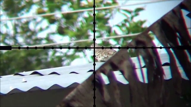 75 Yard Target Shooting with a .25 cal Benjamin Marauder