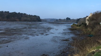Un matin de très grande marée