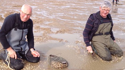 Grande marée et pêche à pied