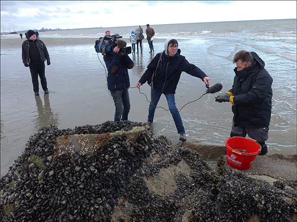 grandes marées Leffrinckoucke/ Malo/Bray-Dunes
