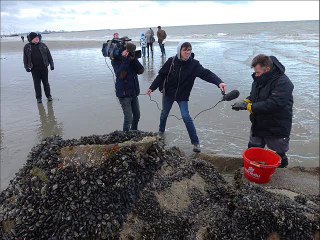 grandes marées Leffrinckoucke/ Malo/Bray-Dunes