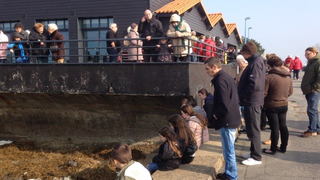 La marée du siècle sur le gois