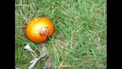 R.I.P Happy Appy (sorry m8) ORIGINAL VERSION