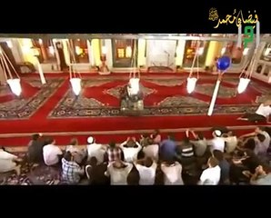 Flags follower of Imam MalikFlags follower of Imam Malik