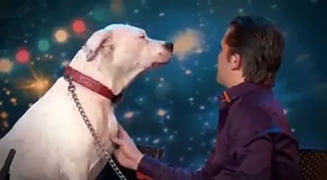 Watch hilarious dog sing Whitney Houston's 'I Will Always Love You'