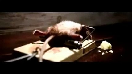 Seni Öldürmeyen Şey Güçlendirir