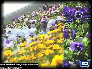 Dunya News - Flower show held in Multan