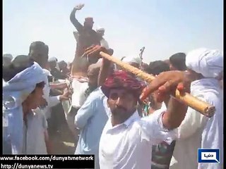 Dunya News - Rajan Pur: Malinga defeat Rohi Raja in Bull racing competition