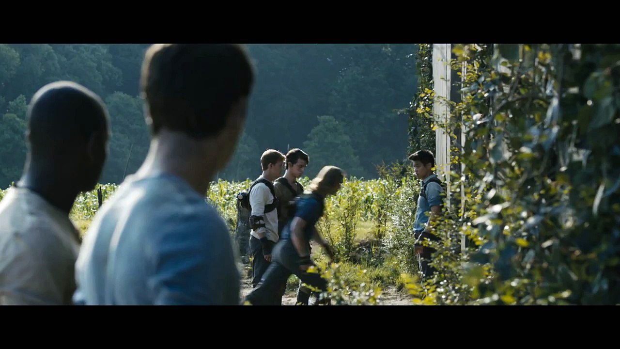 Le Labyrinthe