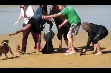 OMG this dog is so dangerous