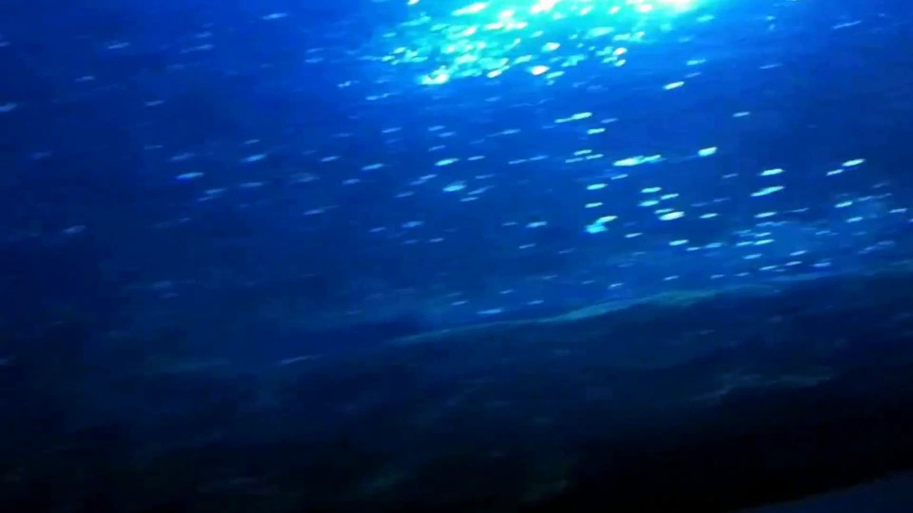 Underwater World Part 8