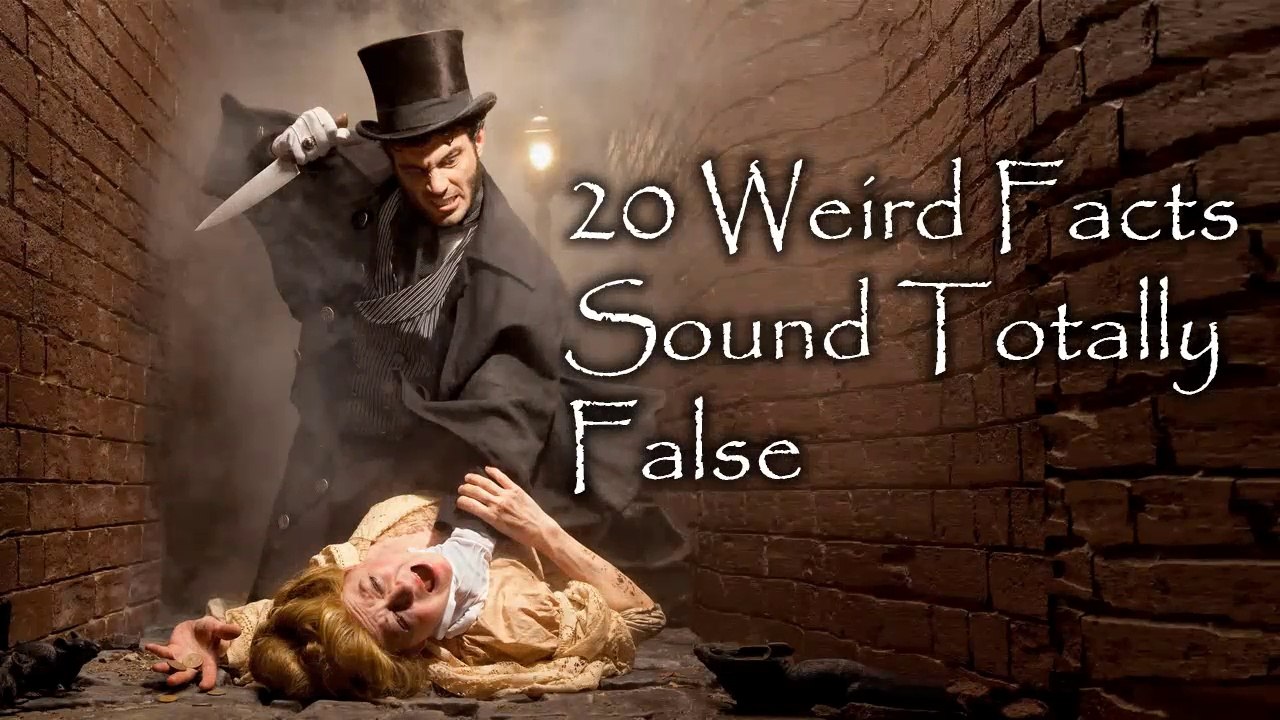 Funny, Interesting & Scary Facts | Weird But True Facts