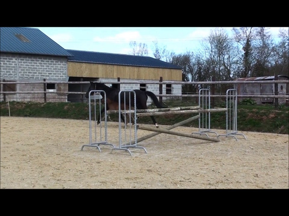 Foxy Night des Edènes à 2 et 3 jours